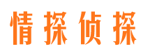 横县市侦探公司